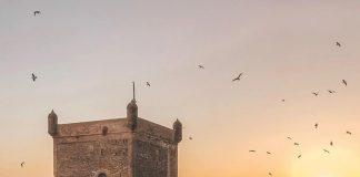 MOGA Festival tops the Moroccan scene: how did it get there?