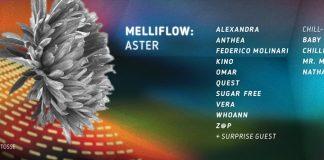 Melliflow hooks up with Hoppetosse for an extended October voyage