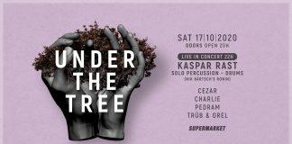 under the tree push the envelope even further with their first concert led event