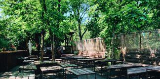 Wildt in Prague need your support in order to survive