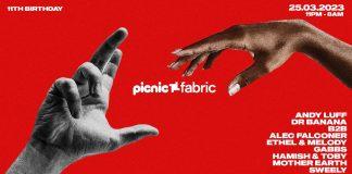 picnic unveil their 11th birthday plans at fabric