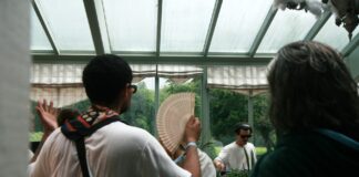 Olympiad Festival 2024: A heavenly journey
