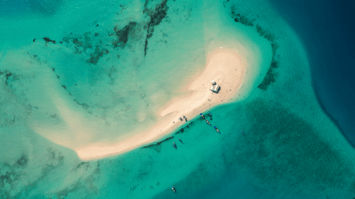 Zanzibar Gathering sandbank