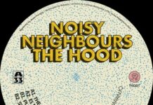 Noisy Neighbours artwork - This Hood - Donnie Cosmo