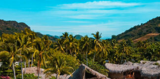 El Savadorian festival Lost In The Jungle announces full details