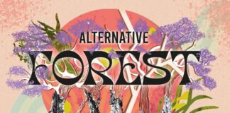Alternative Division are preparing to take a trip into nature