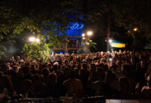 Absolute Cinema. Brave! Factory Festival and its 2025 edition